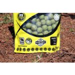 Boilies na kapra  Rapid Easy